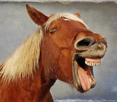 149673501513696357 Бэрримор что за шум