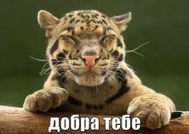 Как сделать деревянные часы самому. Смотреть фото Как сделать деревянные часы самому. Смотреть картинку Как сделать деревянные часы самому. Картинка про Как сделать деревянные часы самому. Фото Как сделать деревянные часы самому