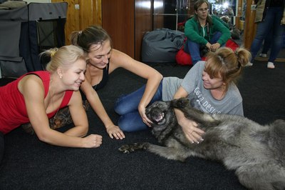 ����������� � �����������