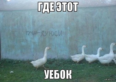 что такое гус фан. Смотреть фото что такое гус фан. Смотреть картинку что такое гус фан. Картинка про что такое гус фан. Фото что такое гус фан