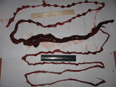 Дед мазай едет сзади что значит. Смотреть фото Дед мазай едет сзади что значит. Смотреть картинку Дед мазай едет сзади что значит. Картинка про Дед мазай едет сзади что значит. Фото Дед мазай едет сзади что значит Дед мазай едет сзади что значит. Смотреть фото Дед мазай едет сзади что значит. Смотреть картинку Дед мазай едет сзади что значит. Картинка про Дед мазай едет сзади что значит. Фото Дед мазай едет сзади что значит