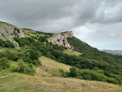 1503588439374498236 есть ли свободные номера