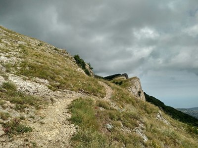 150358844155018773 есть ли свободные номера