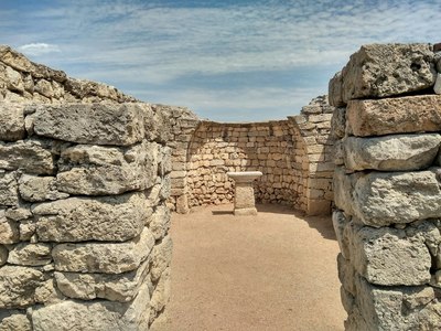 1503588441661275052 есть ли свободные номера