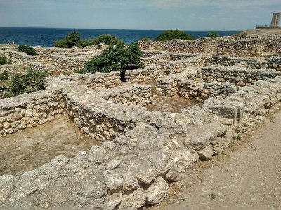 1503588443825964880 есть ли свободные номера