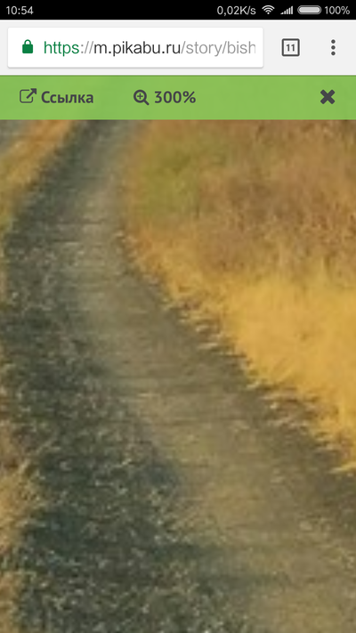 Иллюстрация к комментарию