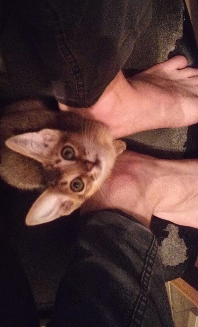 Иллюстрация к комментарию