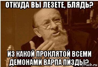 Шариков успел дать потомство фото