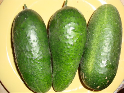 можно ли сувать огурец туда. Смотреть фото можно ли сувать огурец туда. Смотреть картинку можно ли сувать огурец туда. Картинка про можно ли сувать огурец туда. Фото можно ли сувать огурец туда можно ли сувать огурец туда. Смотреть фото можно ли сувать огурец туда. Смотреть картинку можно ли сувать огурец туда. Картинка про можно ли сувать огурец туда. Фото можно ли сувать огурец туда