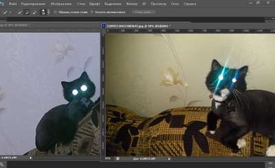 ����������� � �����������