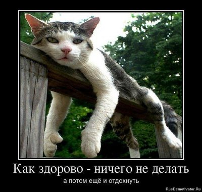 сертификат на похмельный рабочий день шуточный. Смотреть фото сертификат на похмельный рабочий день шуточный. Смотреть картинку сертификат на похмельный рабочий день шуточный. Картинка про сертификат на похмельный рабочий день шуточный. Фото сертификат на похмельный рабочий день шуточный