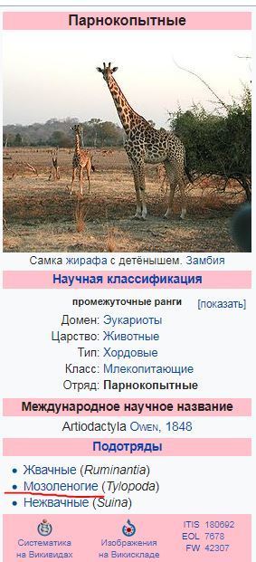 Иллюстрация к комментарию