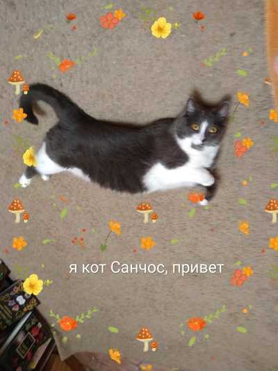 Иллюстрация к комментарию