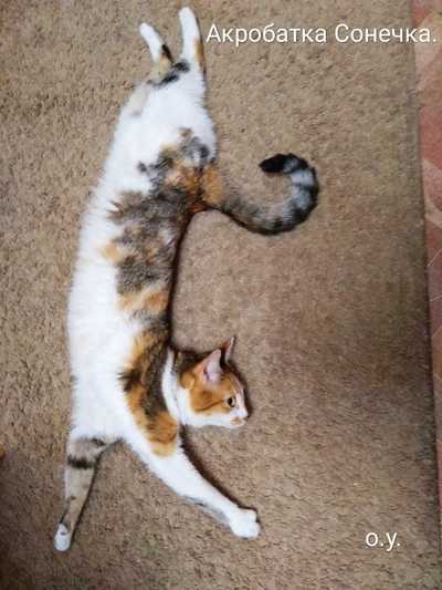 Иллюстрация к комментарию