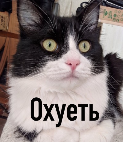ваджайна что это такое. Смотреть фото ваджайна что это такое. Смотреть картинку ваджайна что это такое. Картинка про ваджайна что это такое. Фото ваджайна что это такое