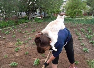 муж сделал чучело на даче сосед неделю здоровался картинки. Смотреть фото муж сделал чучело на даче сосед неделю здоровался картинки. Смотреть картинку муж сделал чучело на даче сосед неделю здоровался картинки. Картинка про муж сделал чучело на даче сосед неделю здоровался картинки. Фото муж сделал чучело на даче сосед неделю здоровался картинки муж сделал чучело на даче сосед неделю здоровался картинки. Смотреть фото муж сделал чучело на даче сосед неделю здоровался картинки. Смотреть картинку муж сделал чучело на даче сосед неделю здоровался картинки. Картинка про муж сделал чучело на даче сосед неделю здоровался картинки. Фото муж сделал чучело на даче сосед неделю здоровался картинки