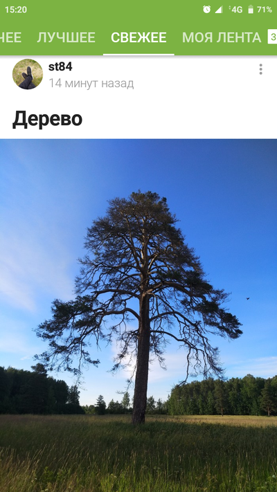 еда не такая горячая мем. Смотреть фото еда не такая горячая мем. Смотреть картинку еда не такая горячая мем. Картинка про еда не такая горячая мем. Фото еда не такая горячая мем