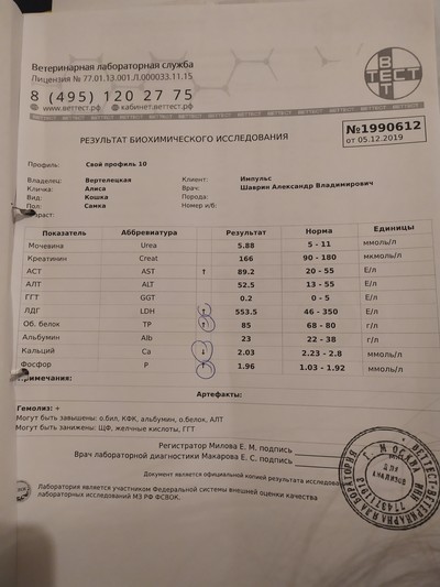 Иллюстрация к комментарию