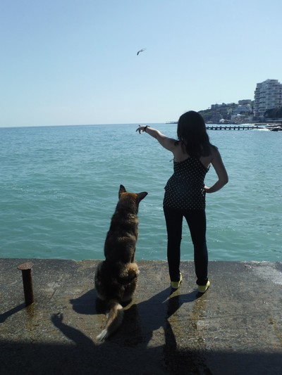 что случилось с мухтаром в ялте. 1576096980173284639. что случилось с мухтаром в ялте фото. что случилось с мухтаром в ялте-1576096980173284639. картинка что случилось с мухтаром в ялте. картинка 1576096980173284639. что случилось с мухтаром в ялте. 1576096980173284639. что случилось с мухтаром в ялте фото. что случилось с мухтаром в ялте-1576096980173284639. картинка что случилось с мухтаром в ялте. картинка 1576096980173284639.