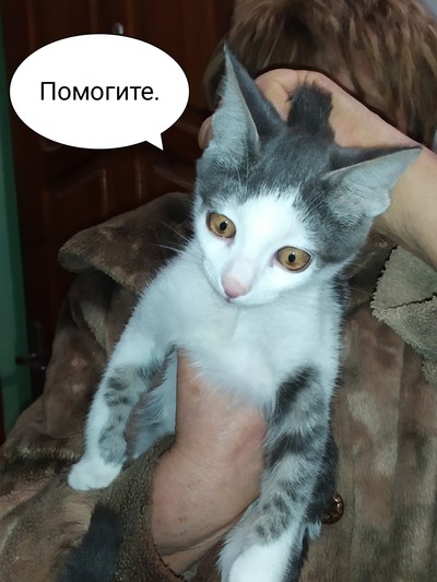 Иллюстрация к комментарию