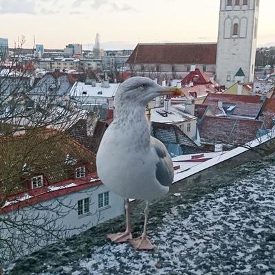 Так блэт не понял. Смотреть фото Так блэт не понял. Смотреть картинку Так блэт не понял. Картинка про Так блэт не понял. Фото Так блэт не понял