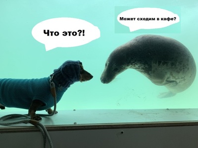вы так мило смотритесь. Смотреть фото вы так мило смотритесь. Смотреть картинку вы так мило смотритесь. Картинка про вы так мило смотритесь. Фото вы так мило смотритесь