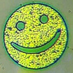 158127901218239437 Мем как долго я тебя искала