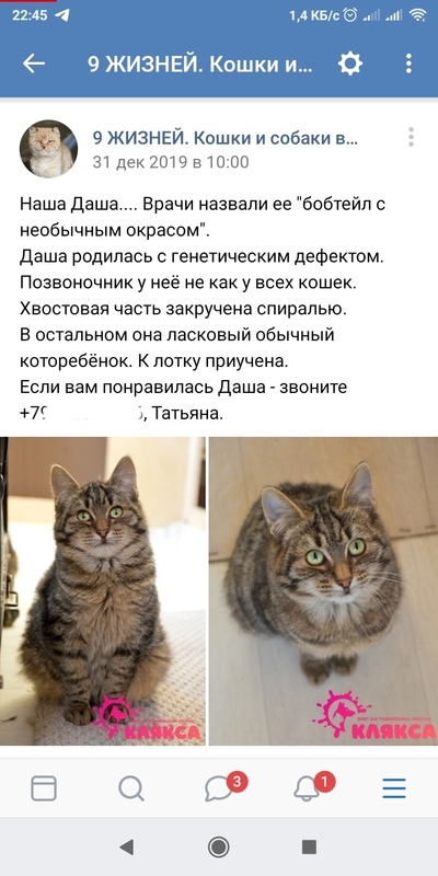 Иллюстрация к комментарию