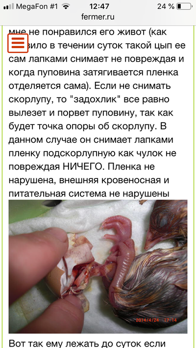 Иллюстрация к комментарию