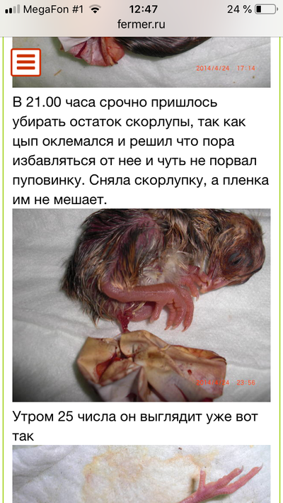 Иллюстрация к комментарию