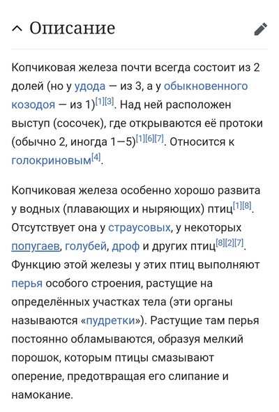 какая птица трещит как сорока. Смотреть фото какая птица трещит как сорока. Смотреть картинку какая птица трещит как сорока. Картинка про какая птица трещит как сорока. Фото какая птица трещит как сорока какая птица трещит как сорока. Смотреть фото какая птица трещит как сорока. Смотреть картинку какая птица трещит как сорока. Картинка про какая птица трещит как сорока. Фото какая птица трещит как сорока