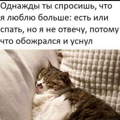 Но я не отвечу потому что обожрался и уснул. Смотреть фото Но я не отвечу потому что обожрался и уснул. Смотреть картинку Но я не отвечу потому что обожрался и уснул. Картинка про Но я не отвечу потому что обожрался и уснул. Фото Но я не отвечу потому что обожрался и уснул