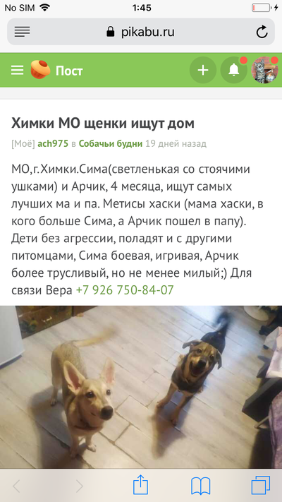 Иллюстрация к комментарию