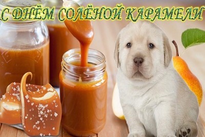 с днем худеющих 15 сентября. Смотреть фото с днем худеющих 15 сентября. Смотреть картинку с днем худеющих 15 сентября. Картинка про с днем худеющих 15 сентября. Фото с днем худеющих 15 сентября