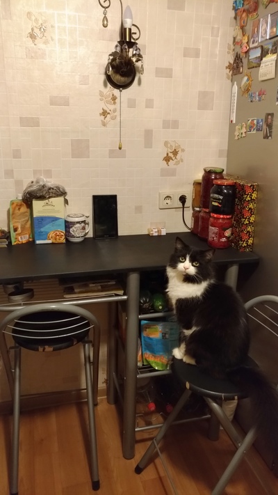 Иллюстрация к комментарию