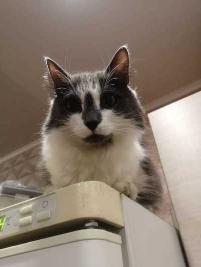 Иллюстрация к комментарию