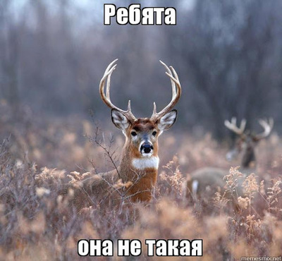 что такое рсп женщина означает. Смотреть фото что такое рсп женщина означает. Смотреть картинку что такое рсп женщина означает. Картинка про что такое рсп женщина означает. Фото что такое рсп женщина означает