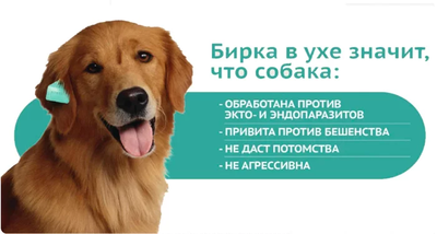 Что такое отлов кошек. Смотреть фото Что такое отлов кошек. Смотреть картинку Что такое отлов кошек. Картинка про Что такое отлов кошек. Фото Что такое отлов кошек