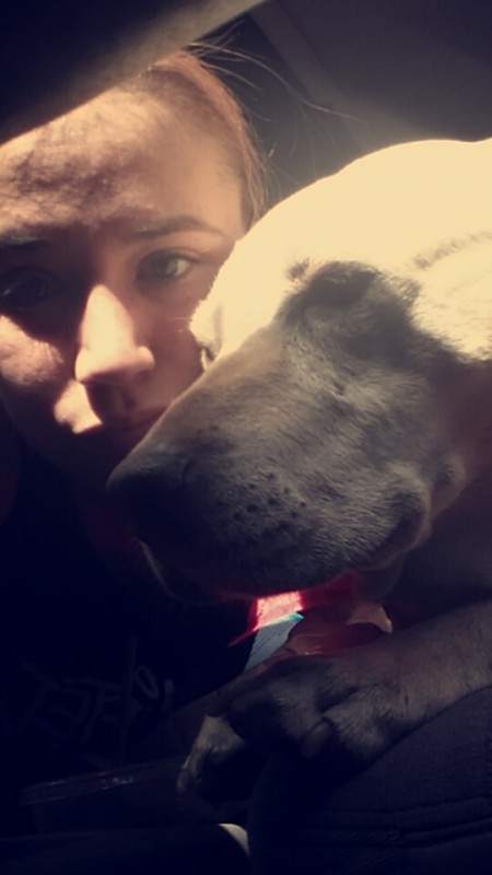 Woman opens up about her dog's last day - Love, Animals, Sympathy, Tears, Milota, Longpost