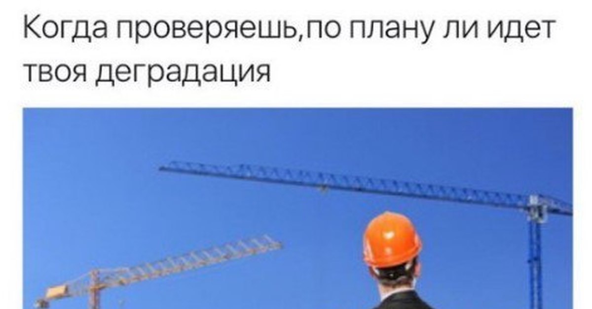 мемы про документы. целевая внеплановая проверка. когда то я был с ним на короткой ноге текст. это я проверяю по плану ли идёт моя деградация. когда будет проверка.