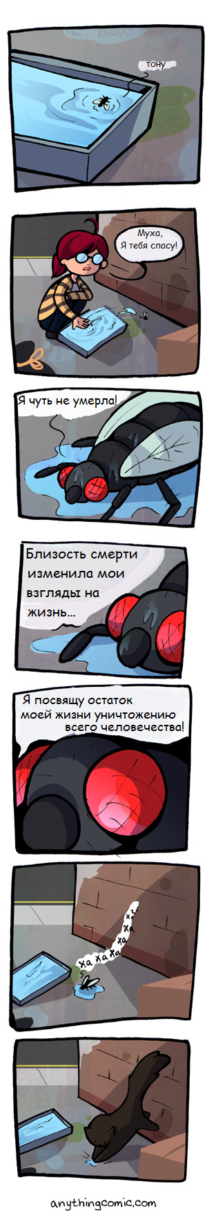 Gratitude - Comics, Муха, Sinks, Person, cat, Anythingcomic, Not mine, Translated by myself, Longpost