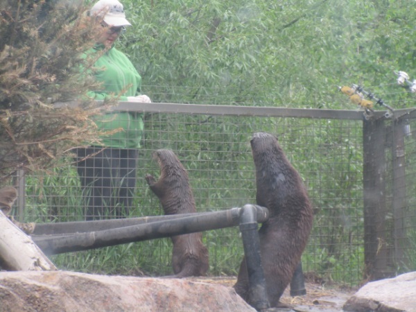 Zoo in Calgary - My, Canada, Zoo, Longpost