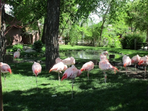 Zoo in Calgary - My, Canada, Zoo, Longpost