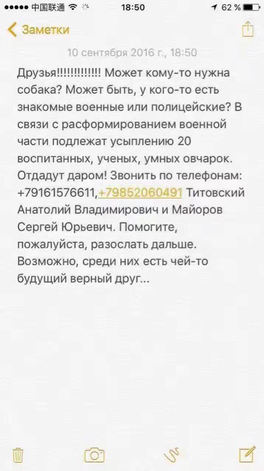 ПОМОГИТЕ ПОДНЯТЬ В ТОП, ЧТОБ БОЛЬШЕ ЛЮДЕЙ УВИДЕЛО - Помощь, Собака