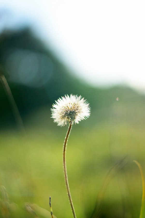 Fluffy start of autumn - Nikon d5300, Nikon, My