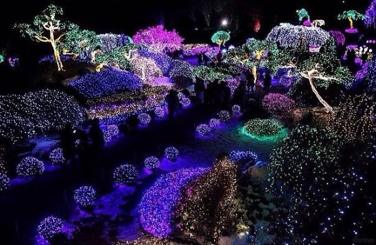 Glowing garden in Thailand - Photo, Thailand, Light, Holidays, beauty, Unusual, Longpost