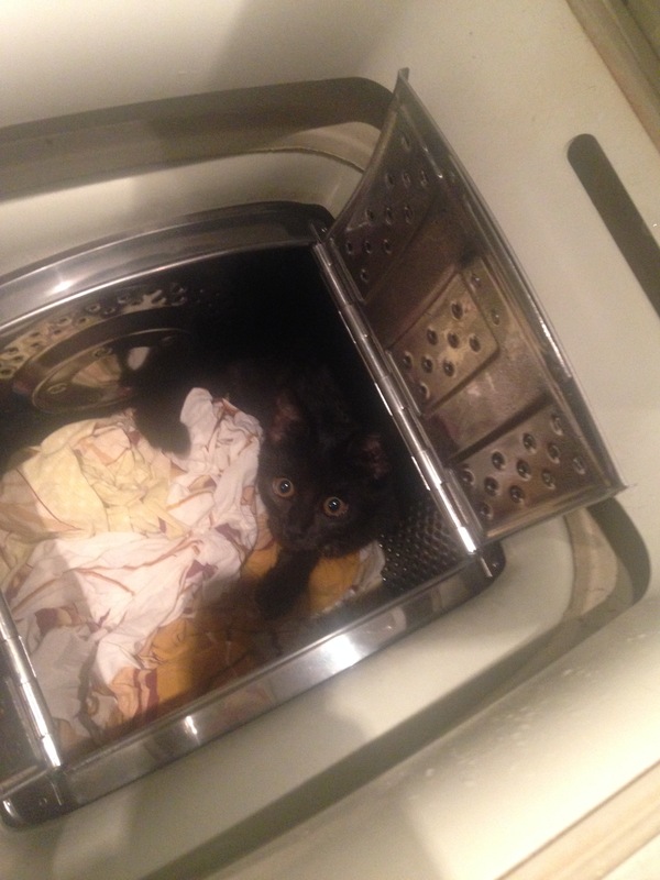 Василиса Барсиковна