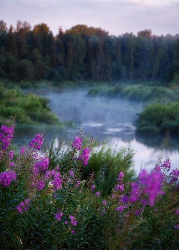 Река Ухра - Ухра, Река, Ярославская область, Россия, Фото, Фотография, Природа, Съездить, Длиннопост