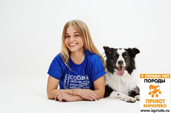 paw of friendship - My, Moscow, Charity, Cats and dogs together, Exhibition, Shelter, Longpost