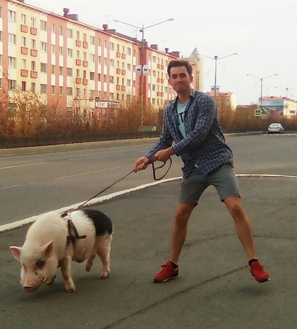 How are your walks? - My, Fashion, Pets, Norilsk, Love, A life, Russia, Photo